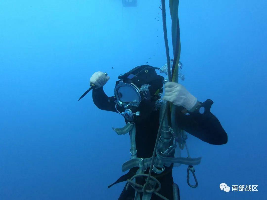济南高校保安殴打流浪狗，流浪狗在学校晃悠如何处理？游戏画面